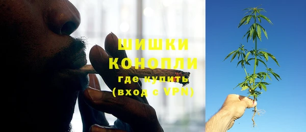 apvp Краснослободск