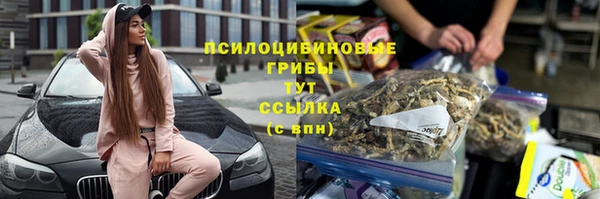 apvp Краснослободск