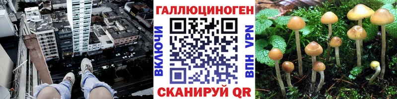 Купить  Лысково  Псилоцибиновые грибы GOLDEN TEACHER 